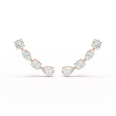 0.39 CT Lab Diamond Multi shape Earring